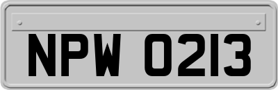 NPW0213