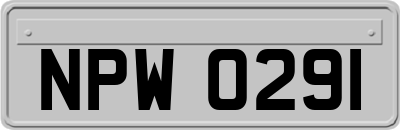 NPW0291