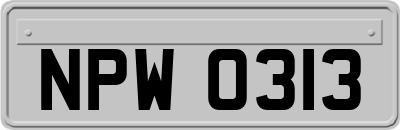 NPW0313