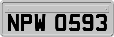 NPW0593