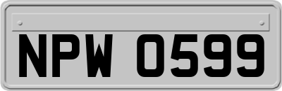 NPW0599