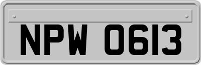 NPW0613