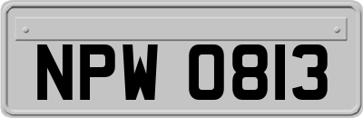 NPW0813
