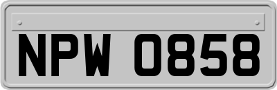 NPW0858
