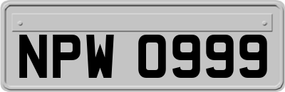 NPW0999
