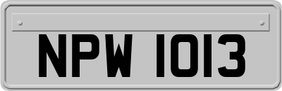 NPW1013