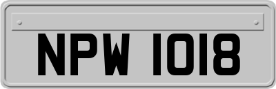 NPW1018
