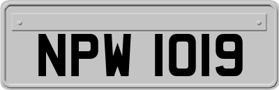 NPW1019