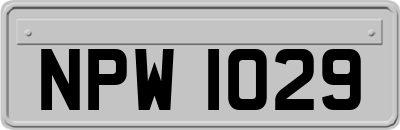 NPW1029