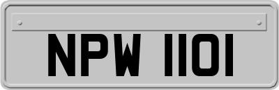 NPW1101