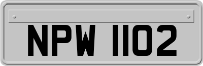 NPW1102