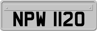 NPW1120