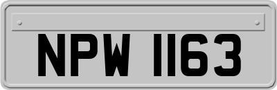 NPW1163