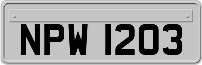 NPW1203