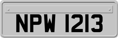NPW1213