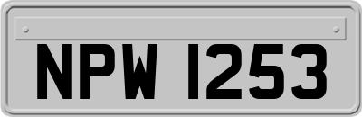 NPW1253