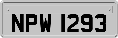 NPW1293