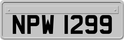 NPW1299