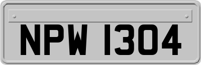 NPW1304