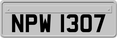 NPW1307