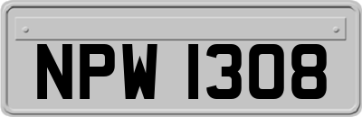 NPW1308