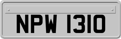 NPW1310