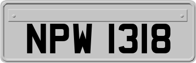 NPW1318