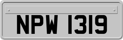 NPW1319