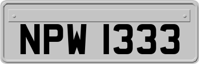 NPW1333