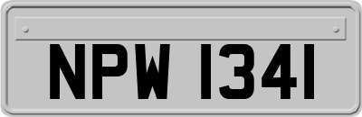 NPW1341