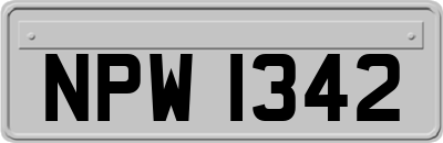 NPW1342