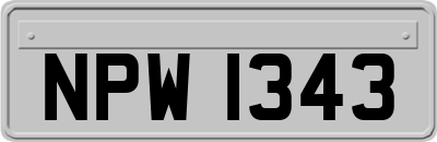 NPW1343
