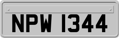 NPW1344