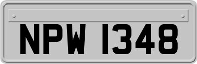 NPW1348