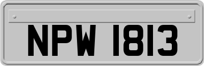 NPW1813