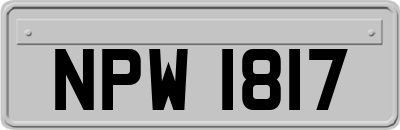 NPW1817