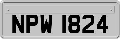 NPW1824