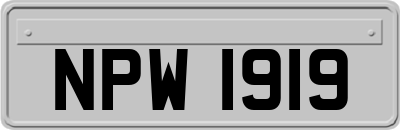 NPW1919
