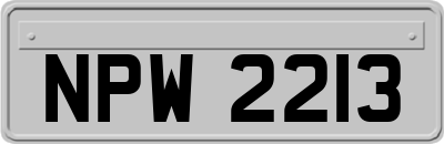 NPW2213
