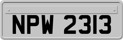 NPW2313