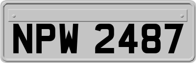 NPW2487