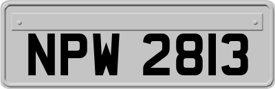 NPW2813