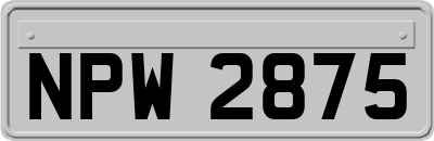 NPW2875