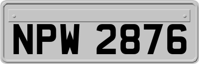 NPW2876