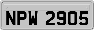 NPW2905