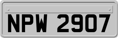 NPW2907