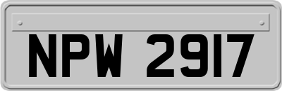 NPW2917