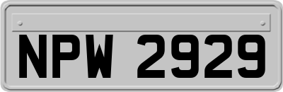NPW2929