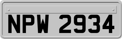 NPW2934