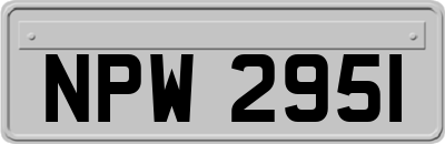 NPW2951